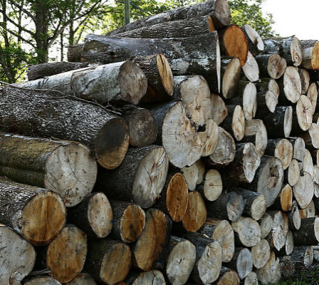 Firewood Sales