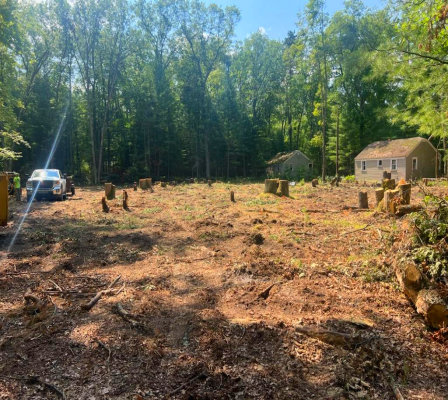 Lot Clearing