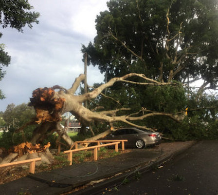 Storm Damage