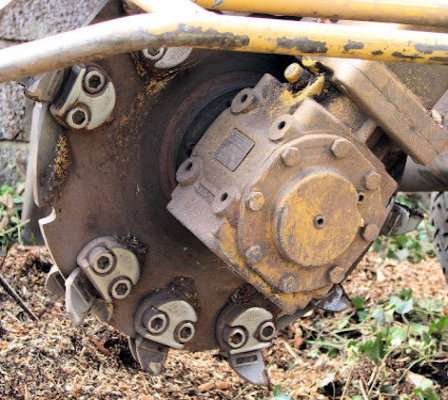 Stump Grinding